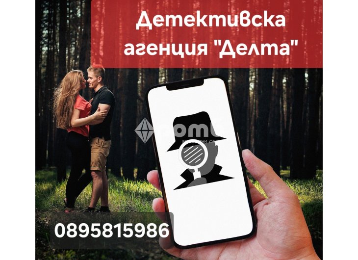 Детективска агенция Делта -1