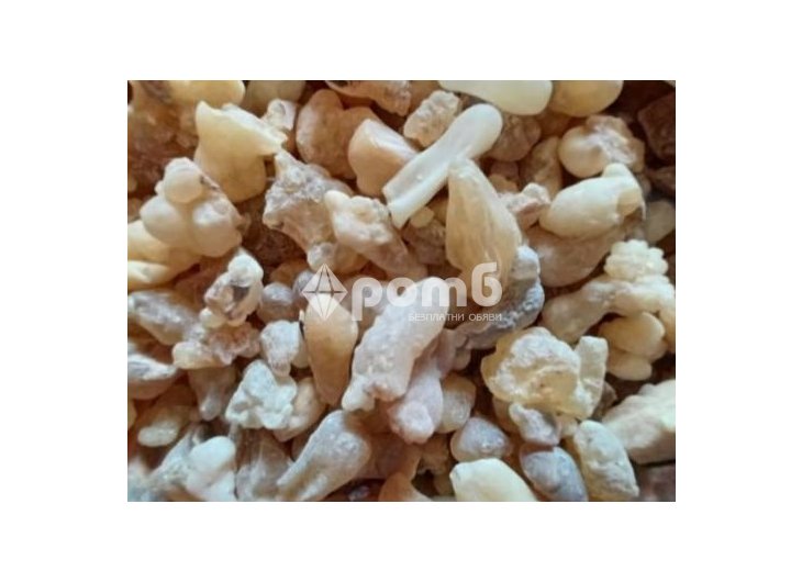 Бял Тамян донесен от ОМАН 100 натурален  2