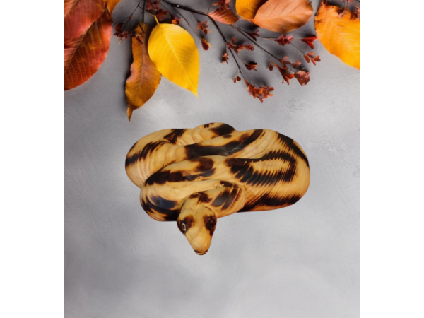 Представям ви змия Питон от дърво ръчна изработка 2025 е годината на Змията в Китайския календар 2